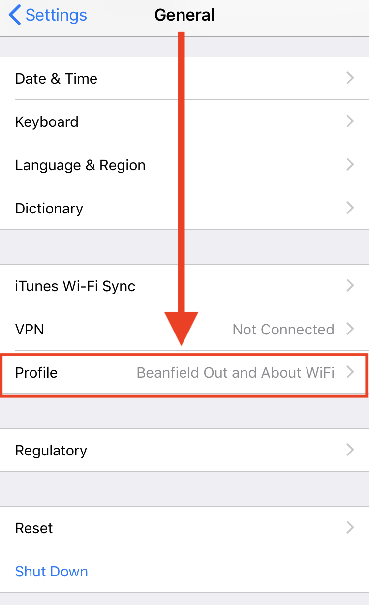 Apple settings general page