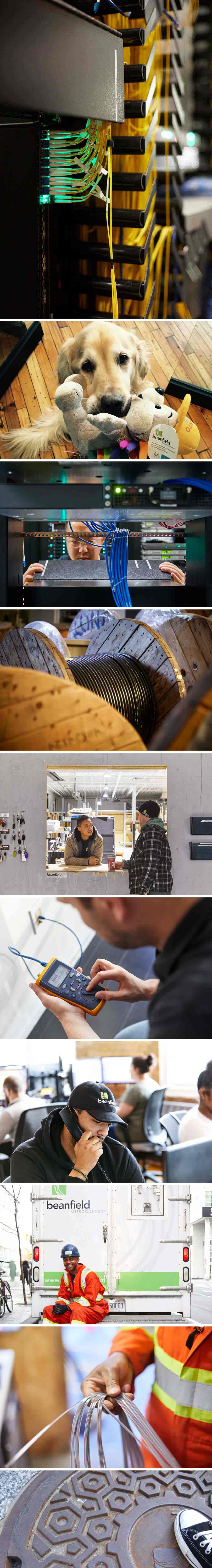 Fibre TV & Home Phone Beanfield Metroconnect